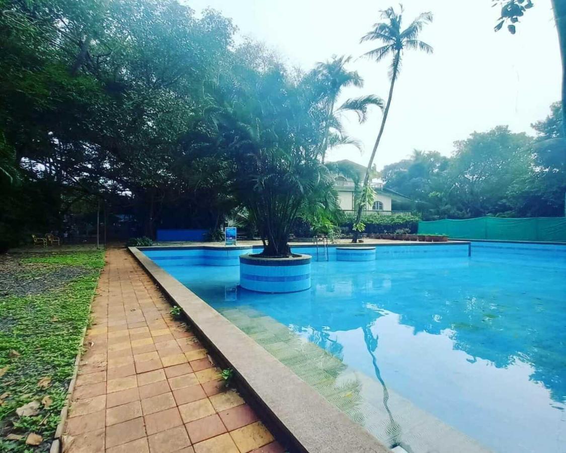 Piggy Calangute By Urban Nomads - Dorms & Pvt Rooms GOA Exterior foto
